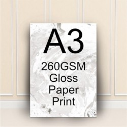 A3 260gsm Premium Gloss Print