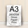 A3 260gsm Premium Gloss Print