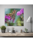 Print your image/artwork to gloss Photo Posters